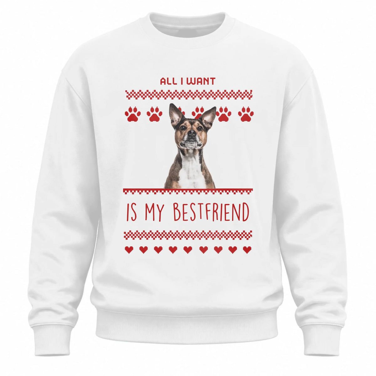 sweatshiirt copy