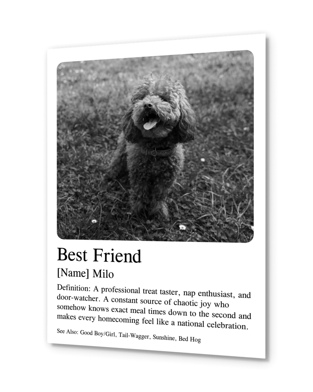 Personalized Poster - Memorial Pet Photo