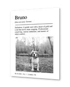 Personalized Poster - Pet Portrait