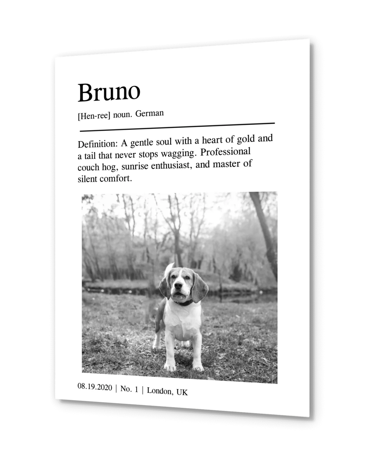 Personalized Poster - Pet Portrait
