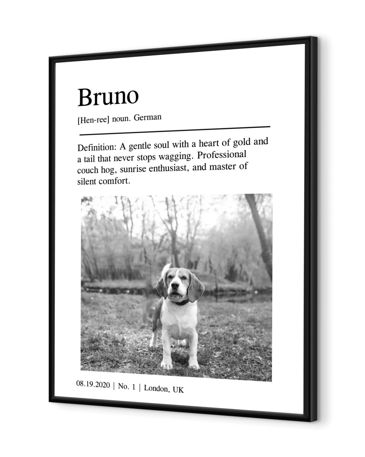 Personalized Poster - Pet Portrait