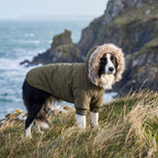 Varm Parkas til Hund med Eget Trykk | Vinterjakke til hund