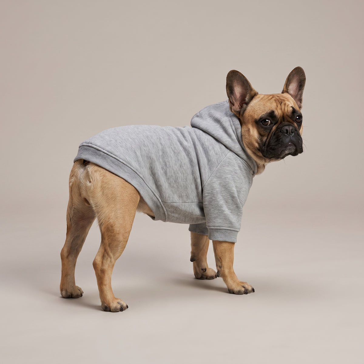 Hettegenser til Hund med Eget Trykk | Fleece Hoodie til hund